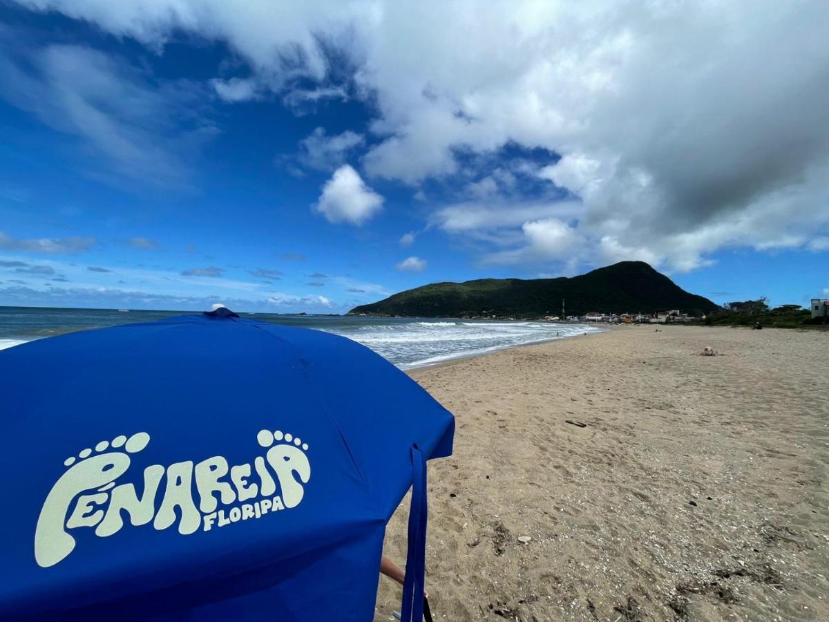 Penareia Floripa